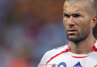 jrs直播-世俱杯球衣物流管理体系与供应效率优化方案