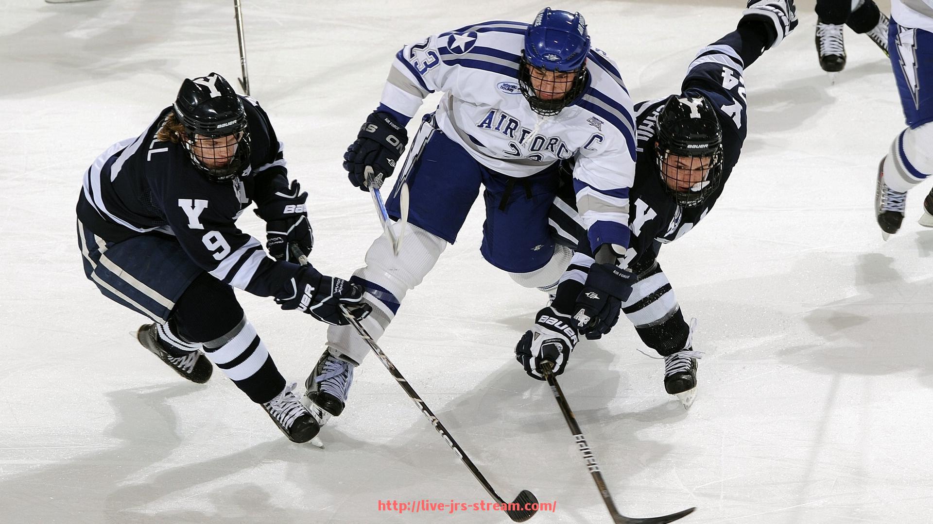 jrs直播-如何更有趣高效地使用健身器材进行日常锻炼